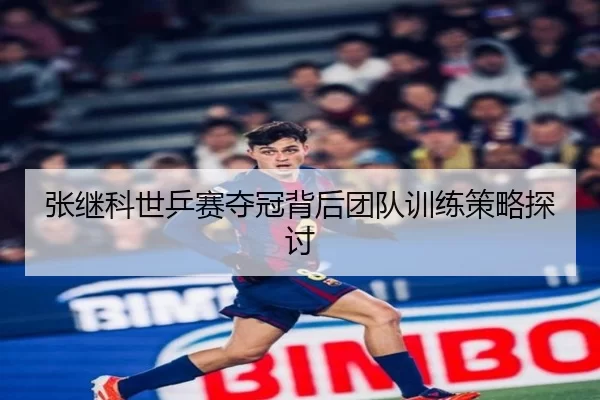 张继科世乒赛夺冠背后团队训练策略探讨
